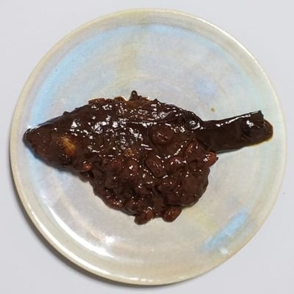 フナと納豆のひと
