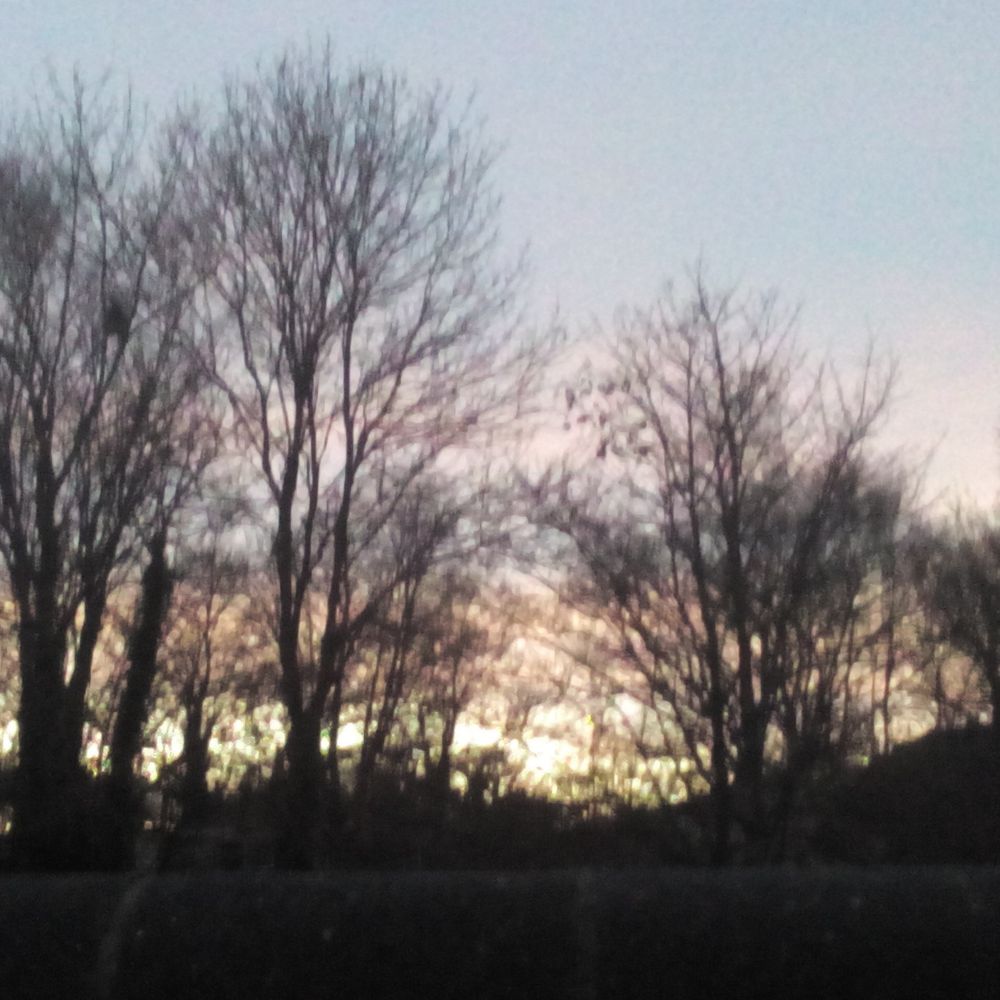 simmalugnt.bsky.social