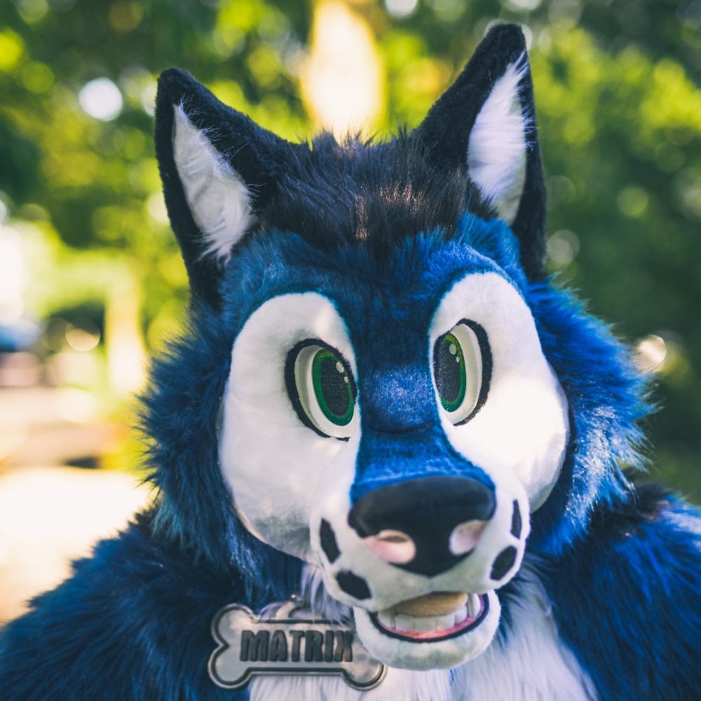 Matrix Husky 🇬🇧