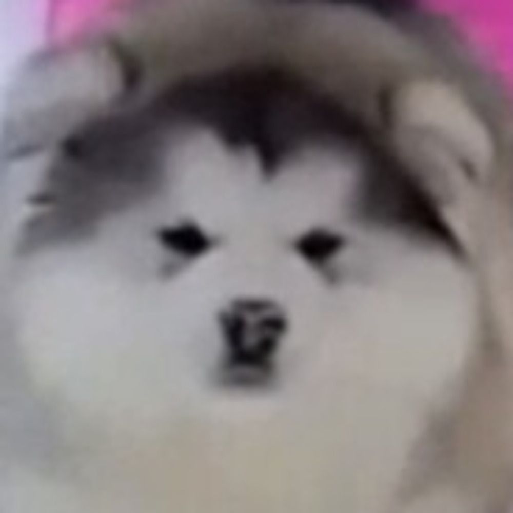 User avatar