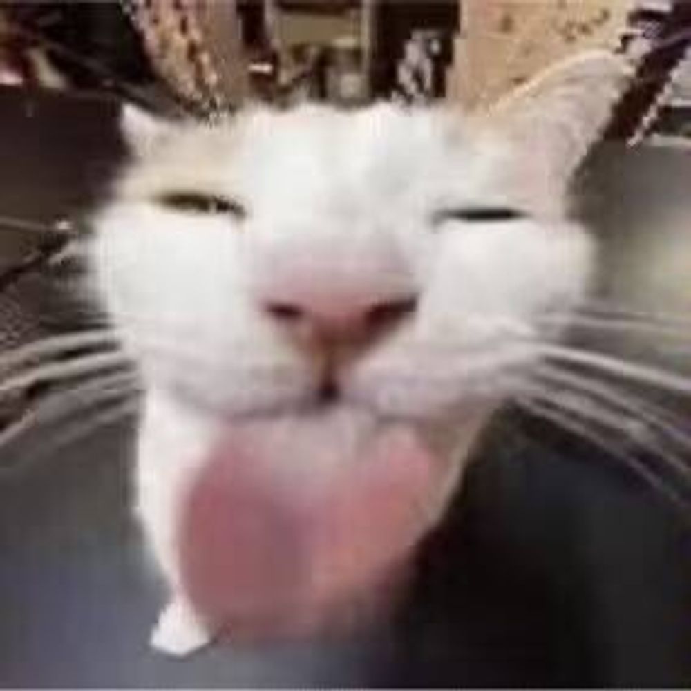 Mijuko獭獭子