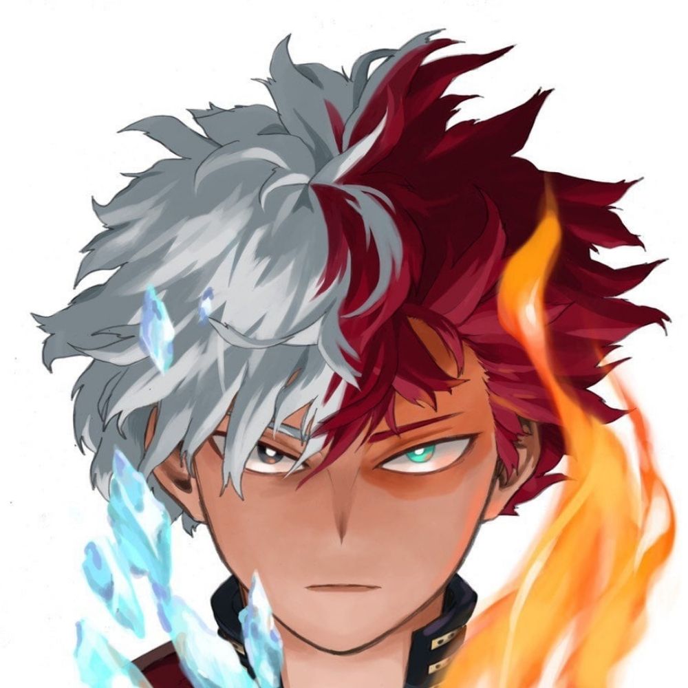 Shoto Todoroki
