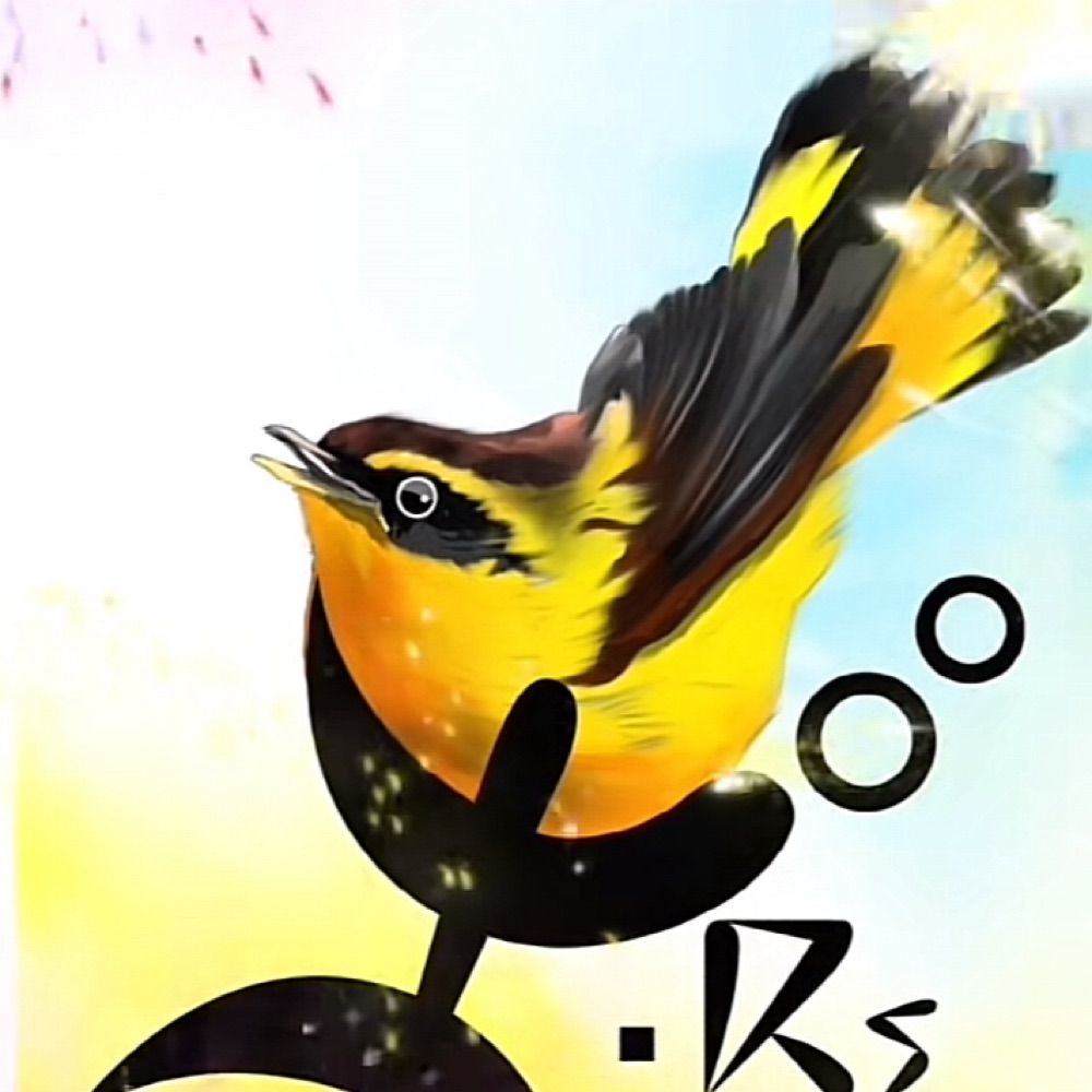ⵙⵄⵉⴸ