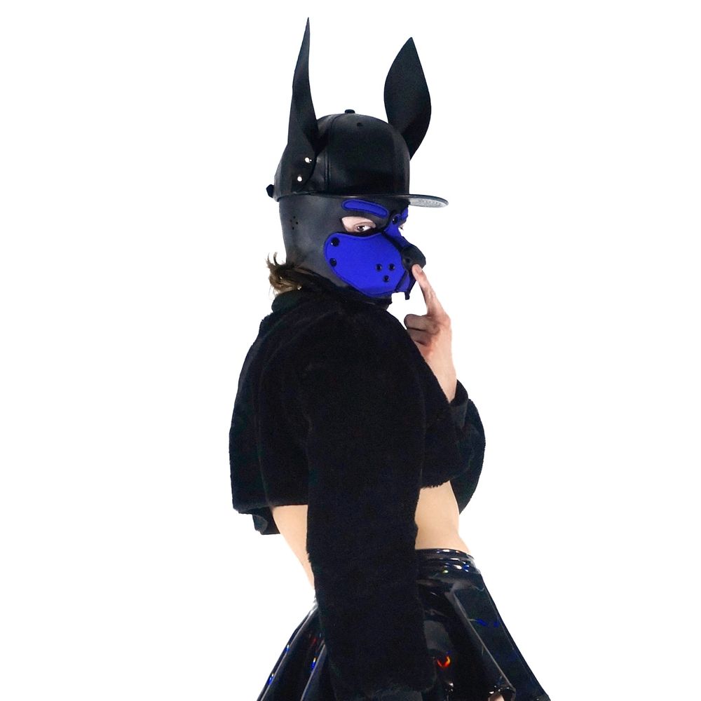Pup Moda