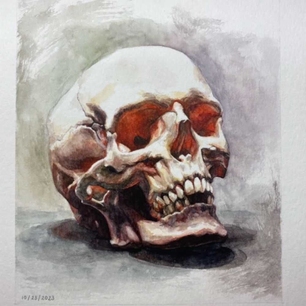 Amy Kang's avatar