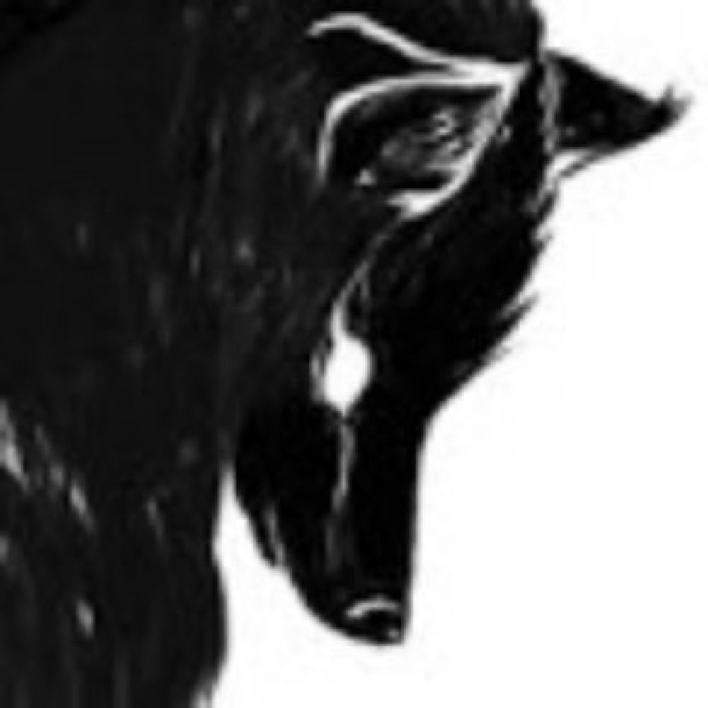 Thorn Cryptid