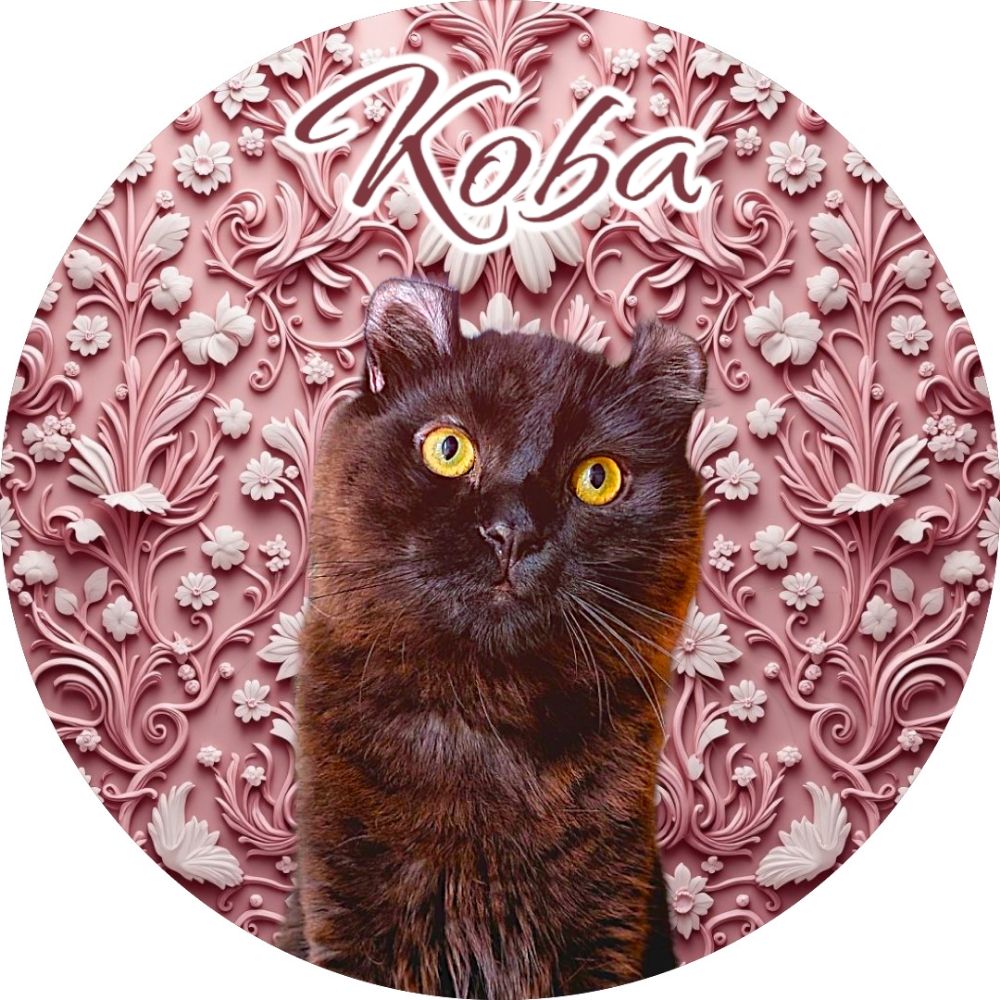 Koba 𓃠