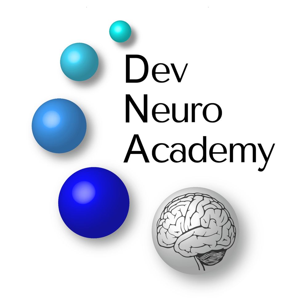 Dev Neuro Academy