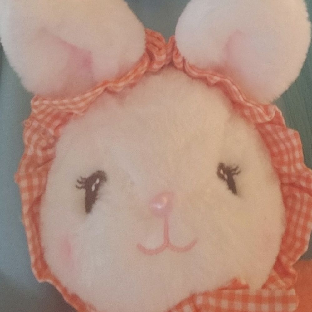 너굴(블루스카이 계정)