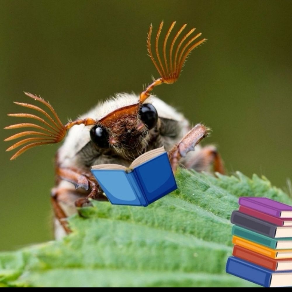 the bug read