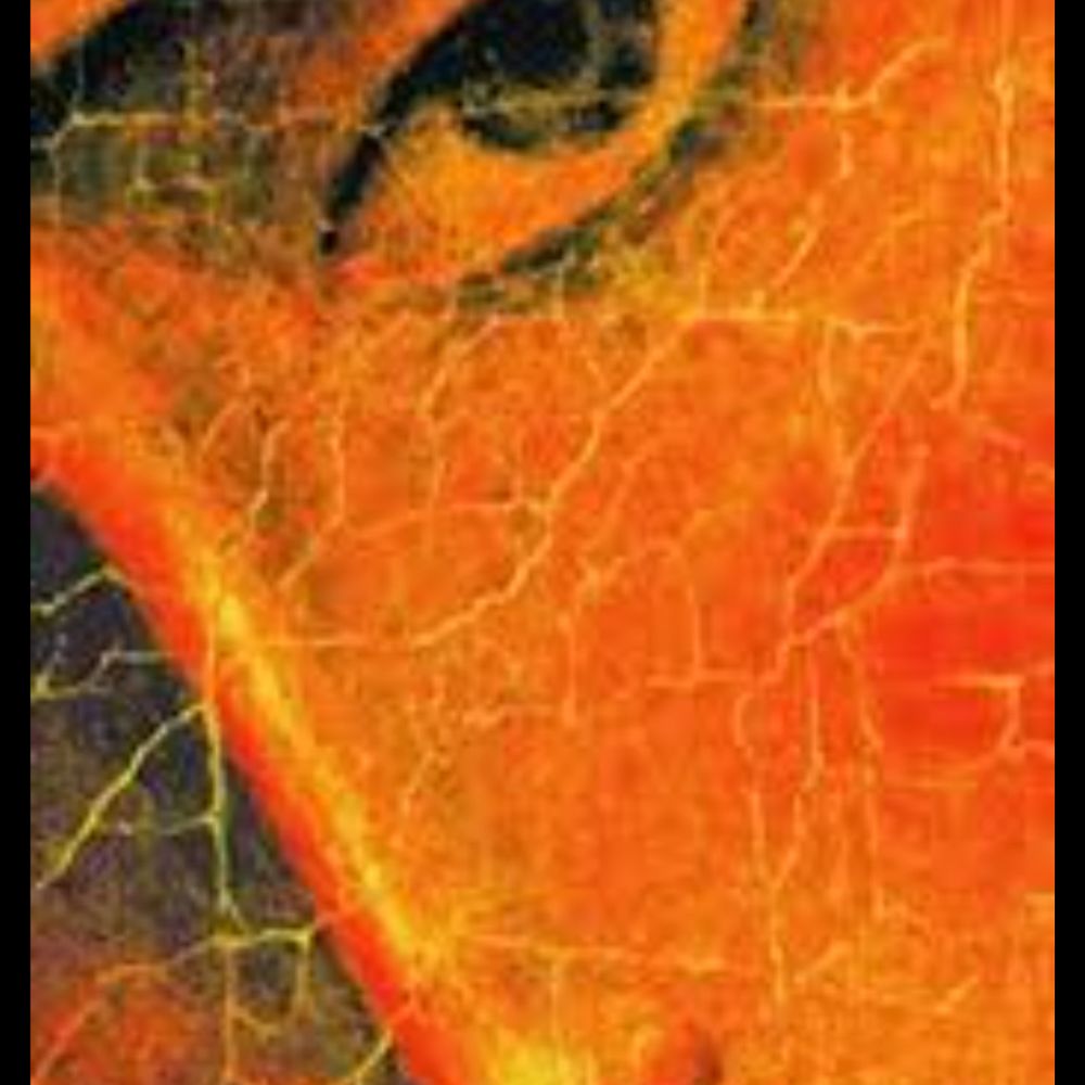 shadowkings25.bsky.social profile picture