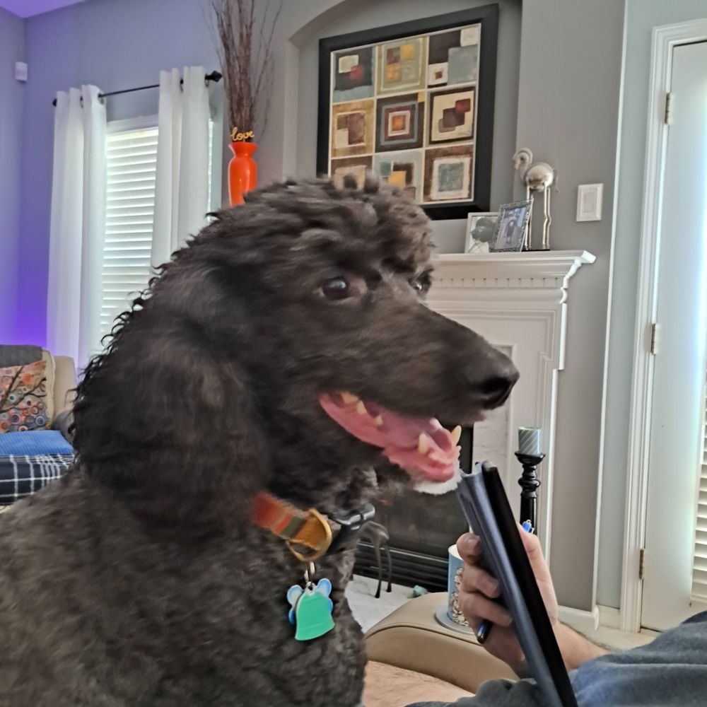 Bob