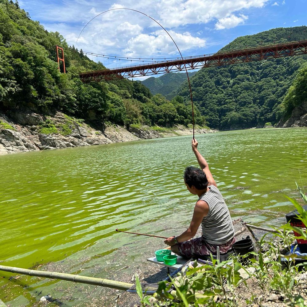 龍の兄弟