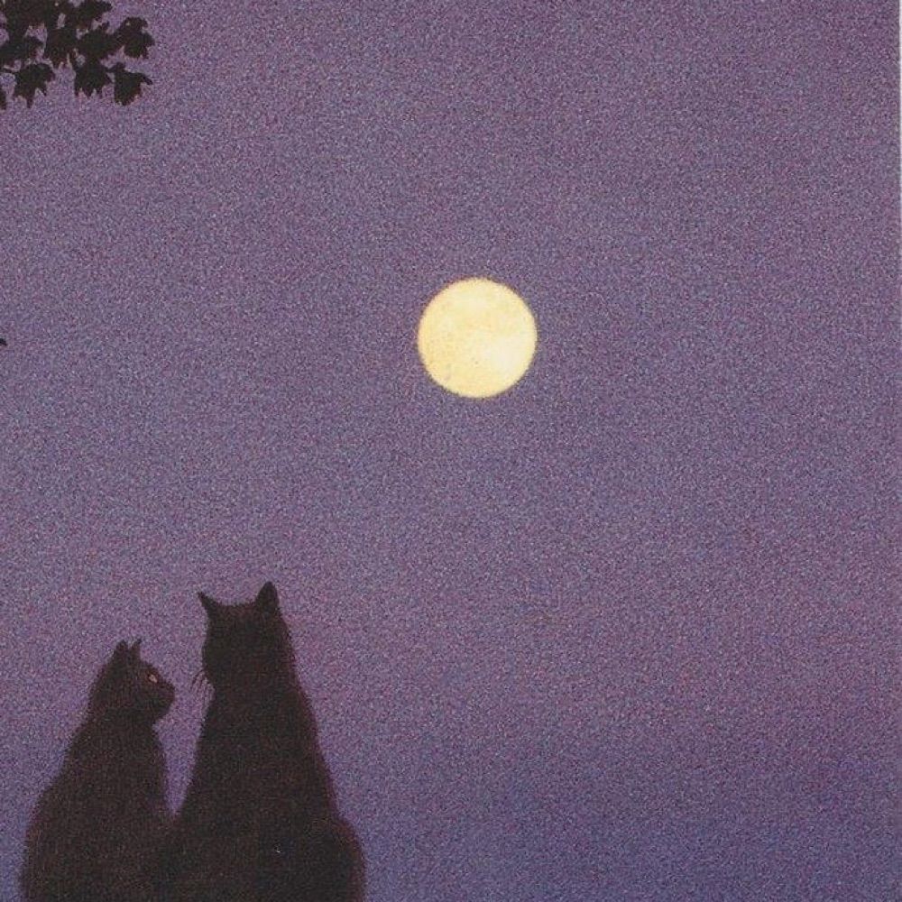 Moony ✨