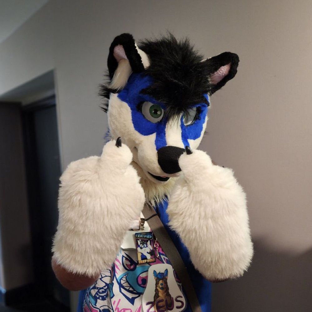 🏳️‍🌈Stealth Wolf-ZeusGSD🏳️‍🌈