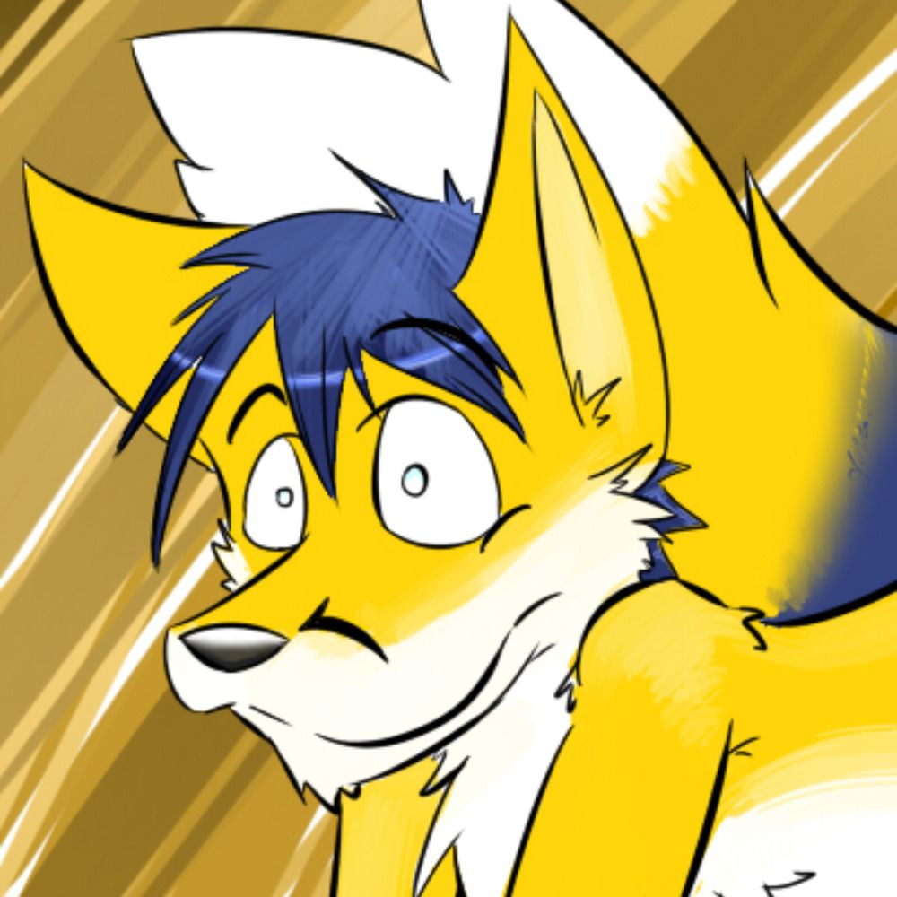 ThunderFOX