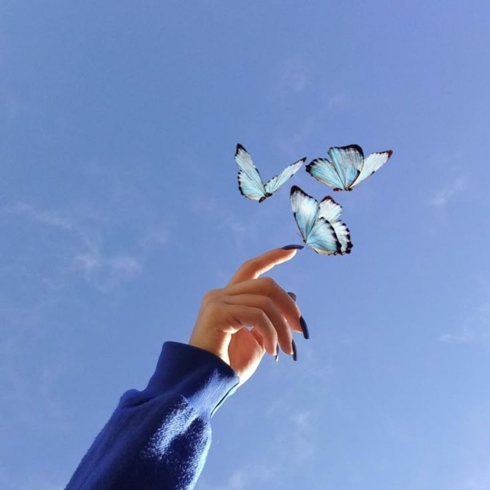 🦋