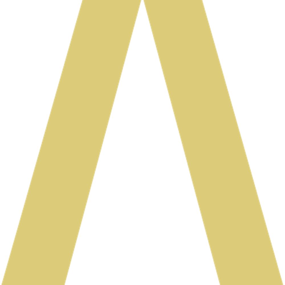 Blinken OSA Archivum