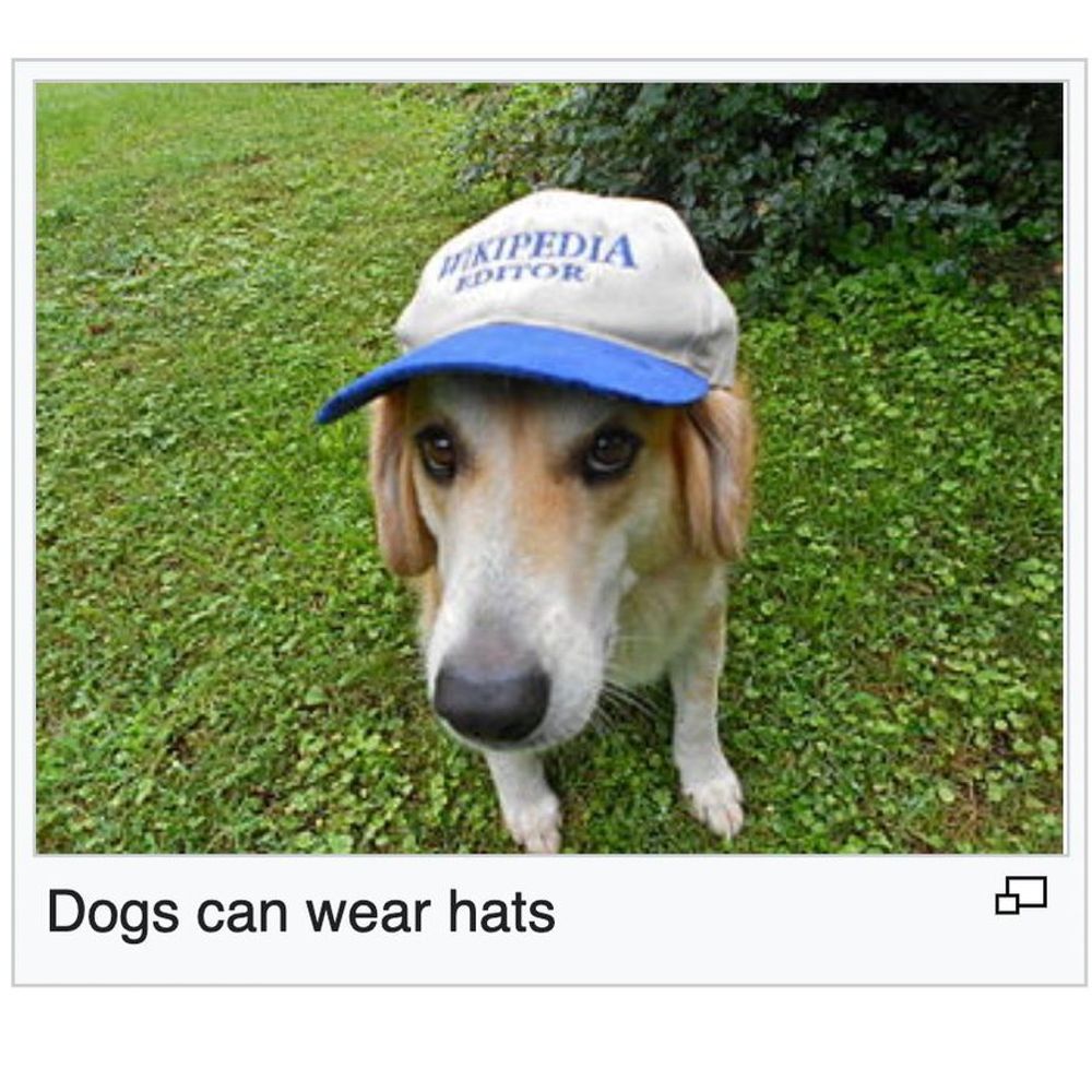 Mr. Wikipediovich