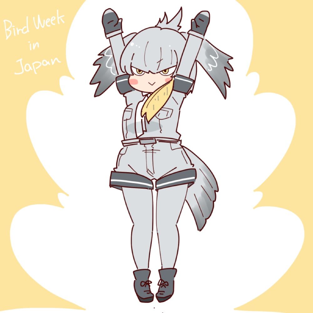 Shoebill