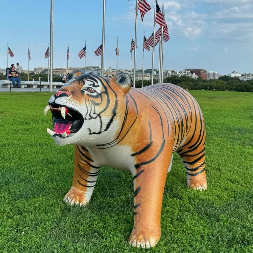 Jetcreations - Inflatable Guy!