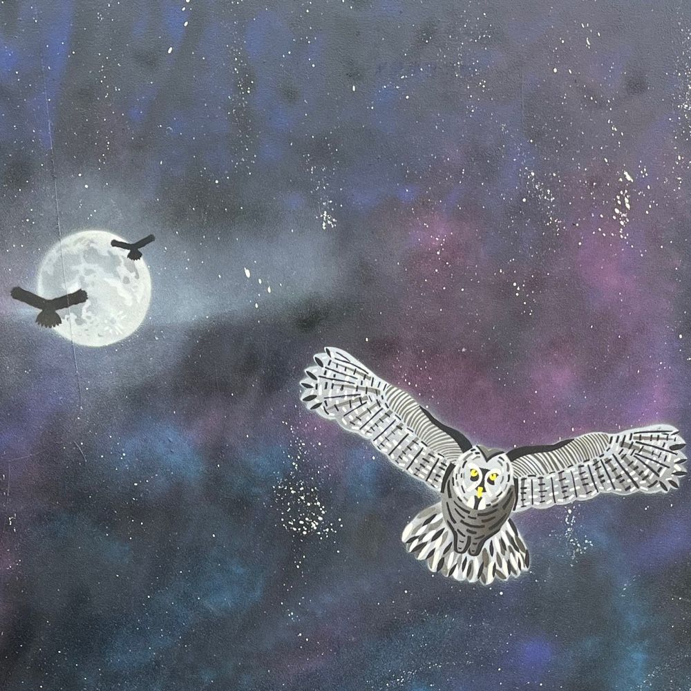 A Parliament of Owls