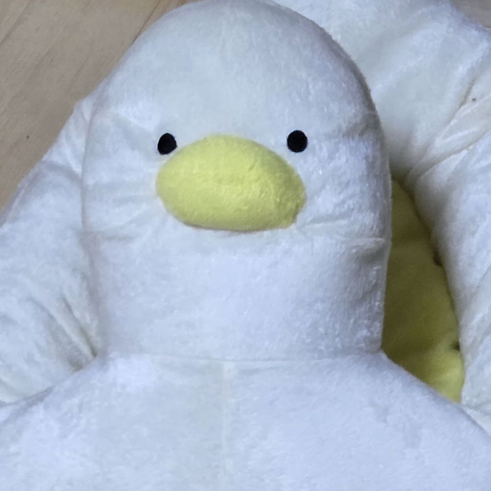 오리꽉