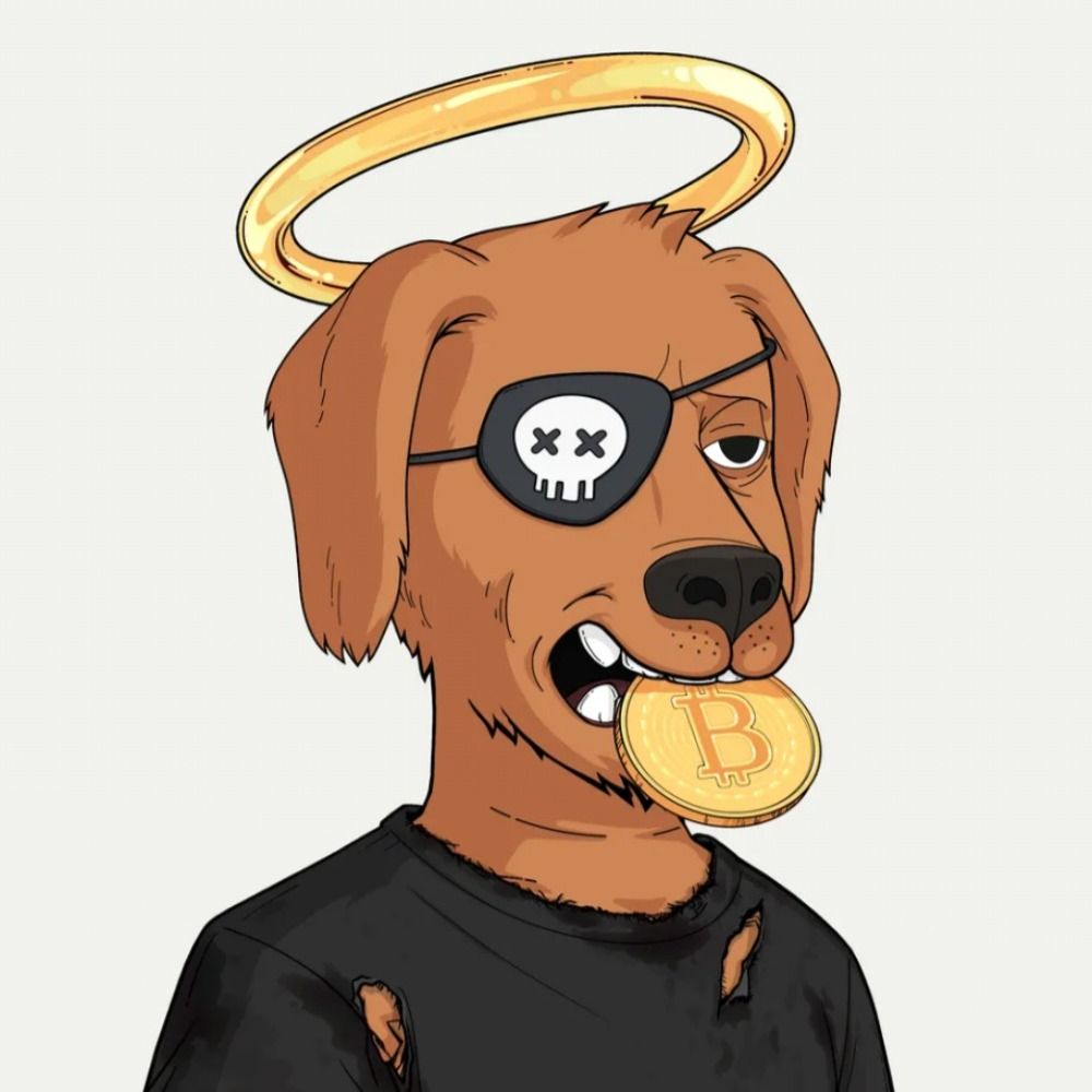 Coinacci