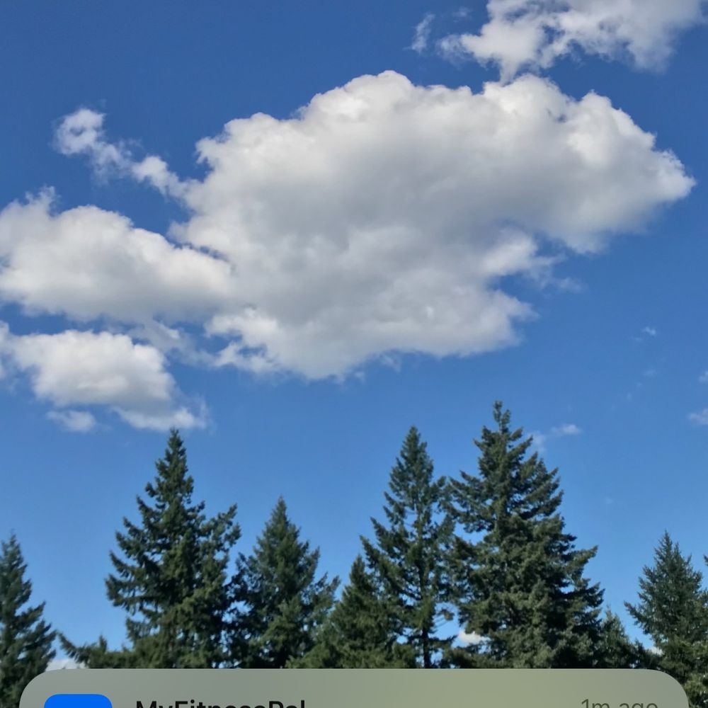 blueskypdx