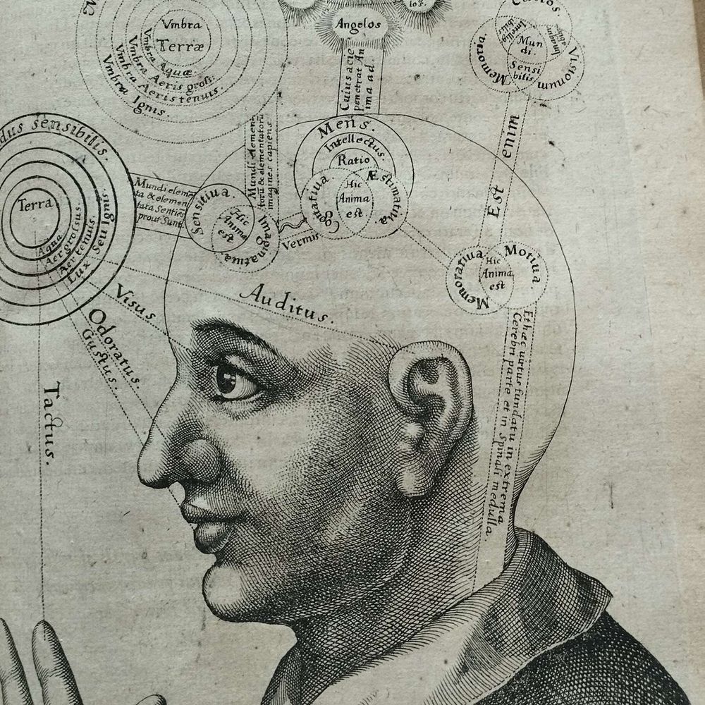 Juan Acevedo