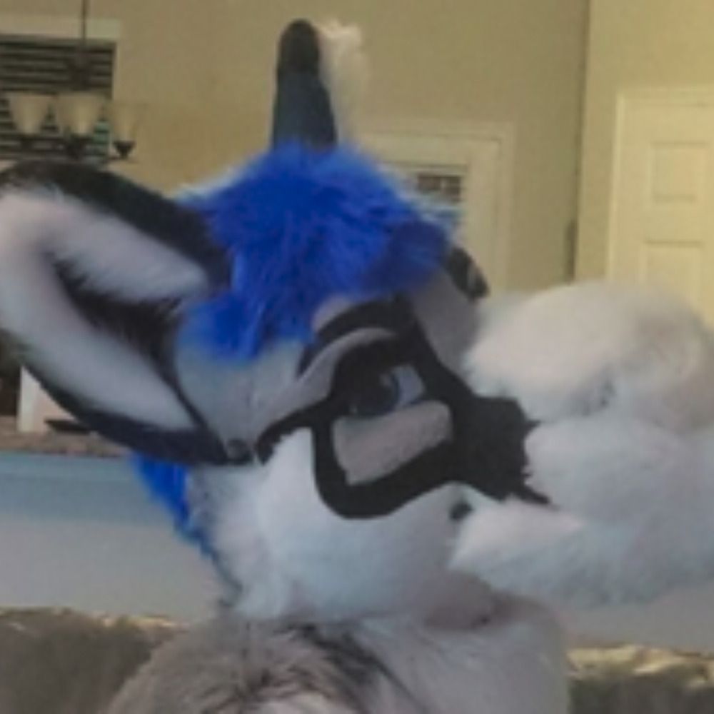 MEDSFoxAD