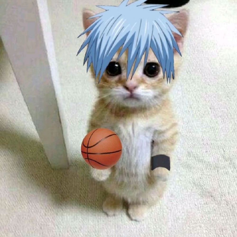 ☆爱苹☆