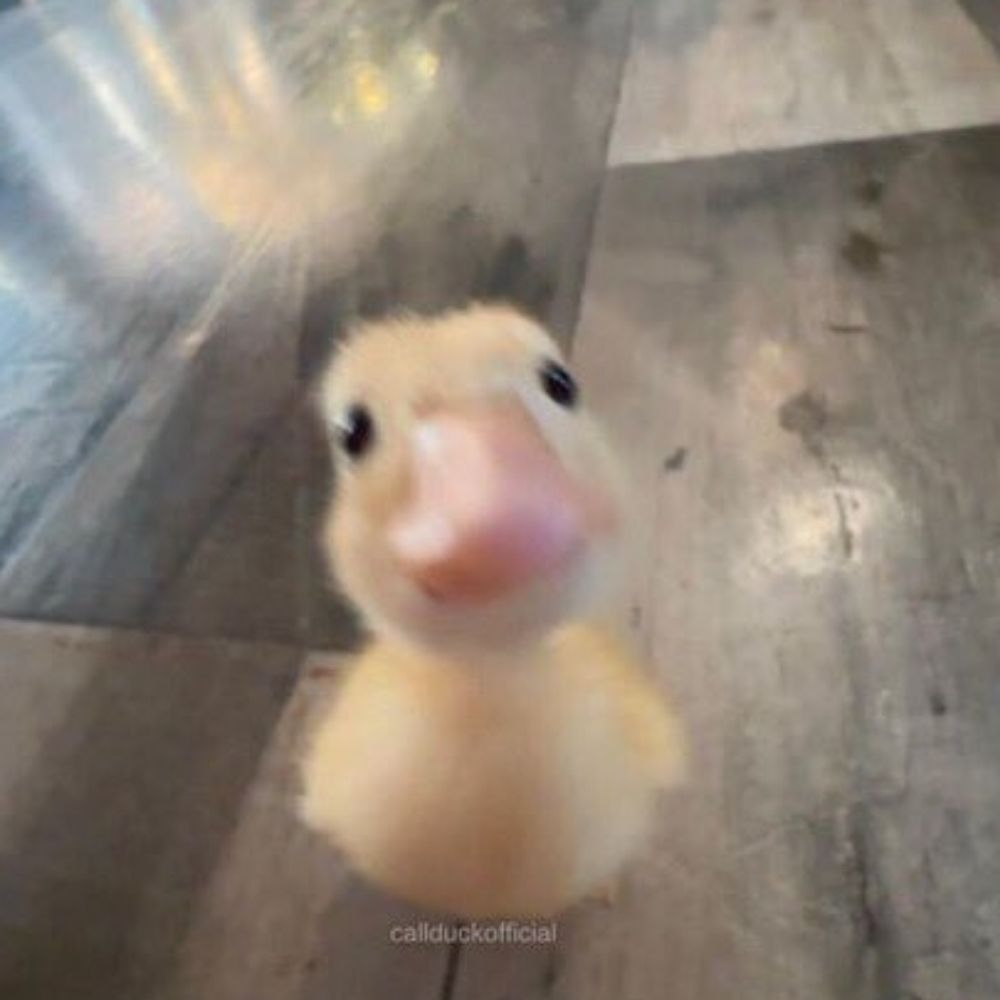점례
