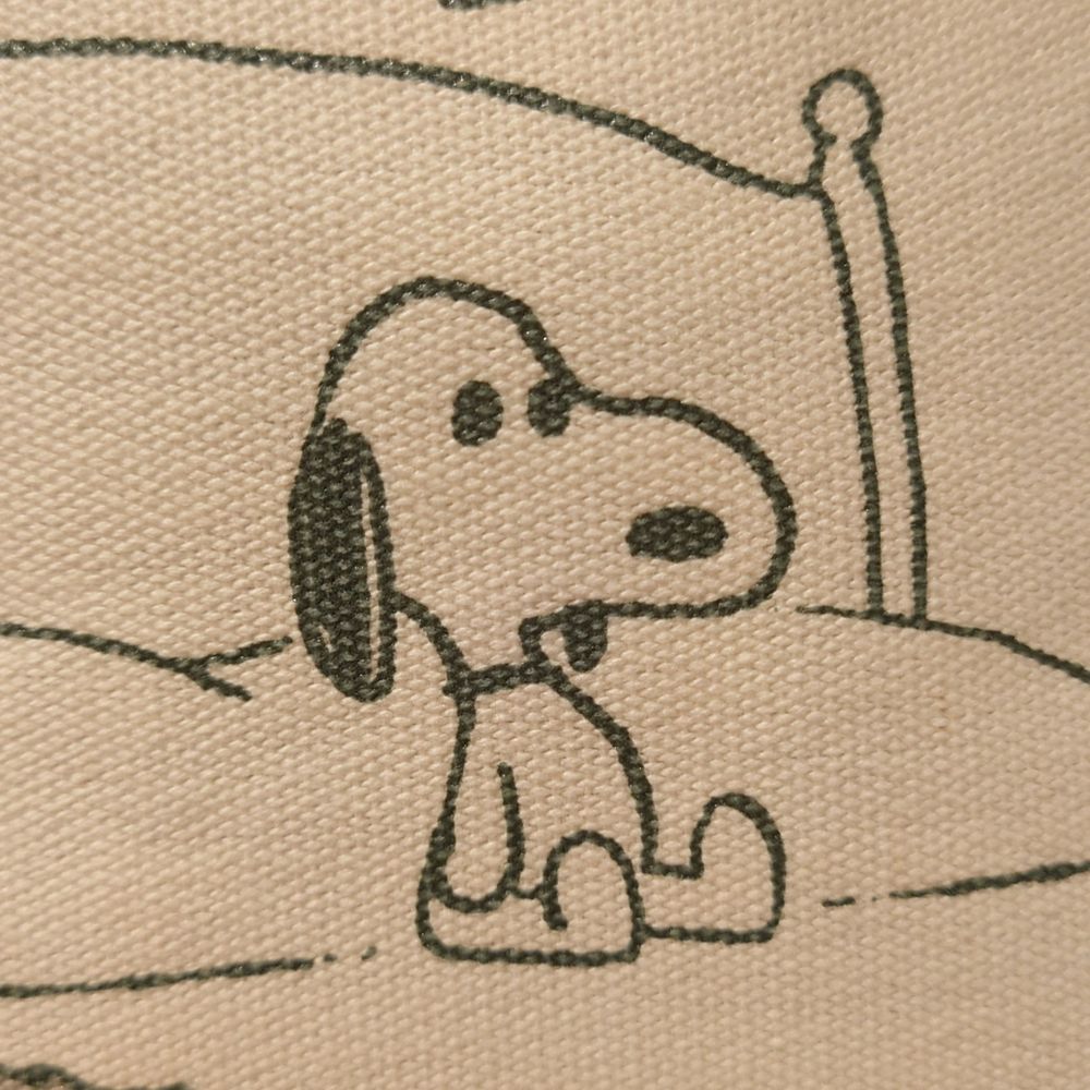 こいも。