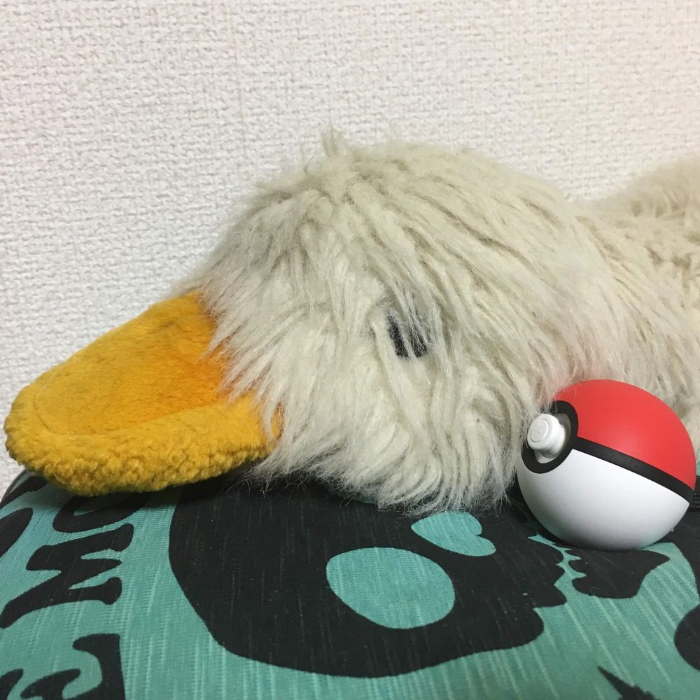 あひるの人