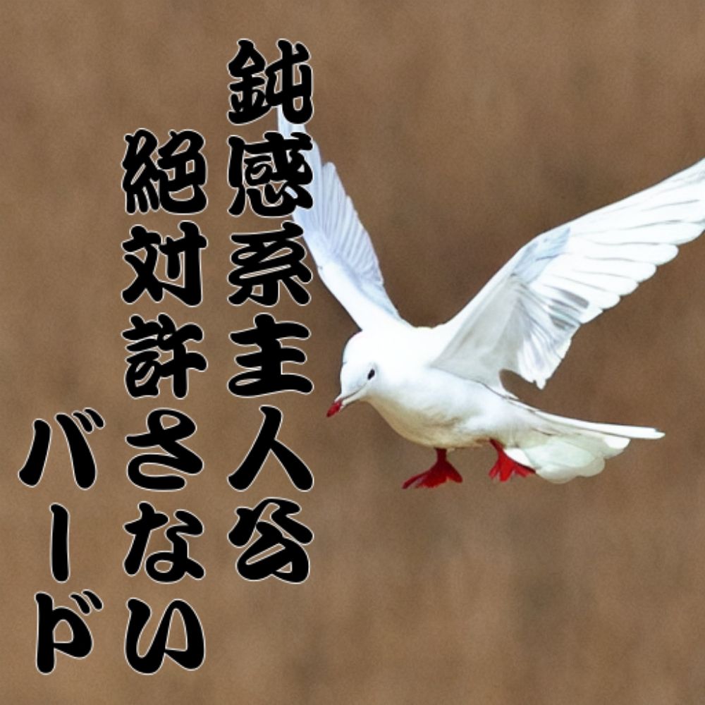 鉛