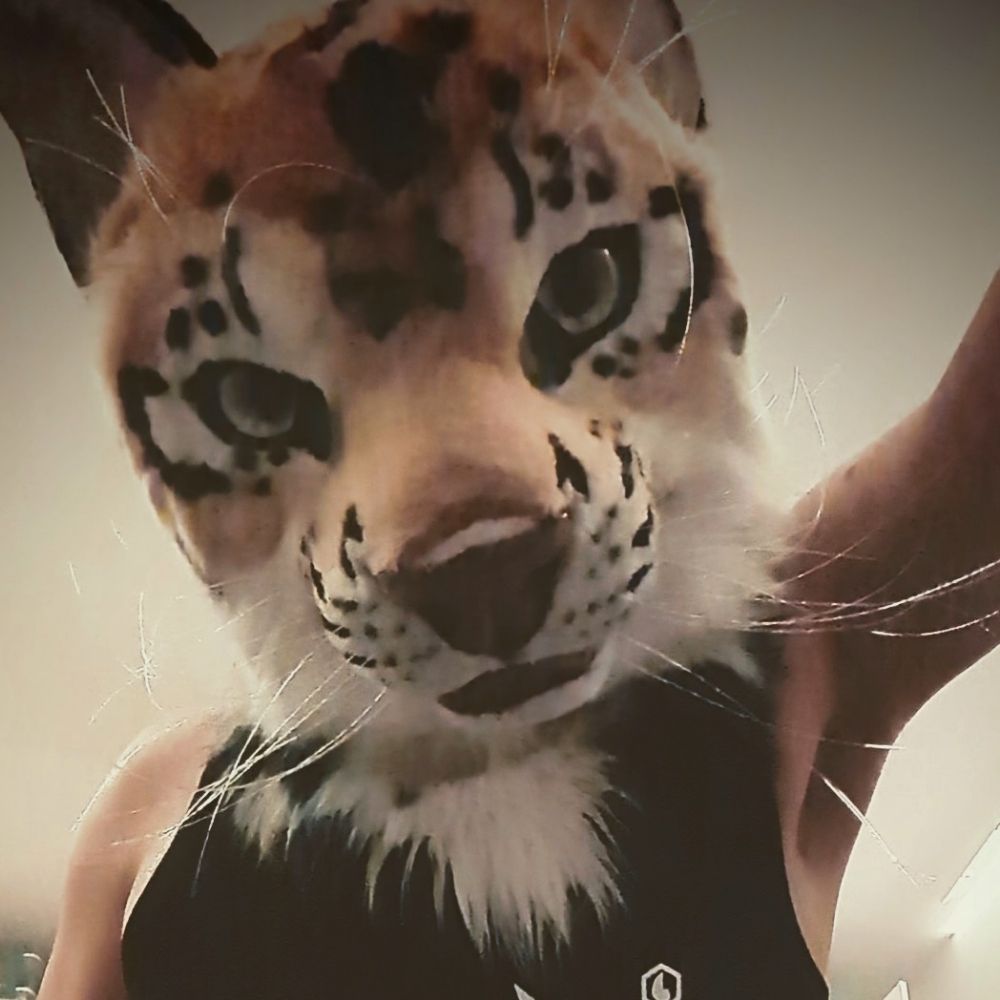 Little Tree Tiger
