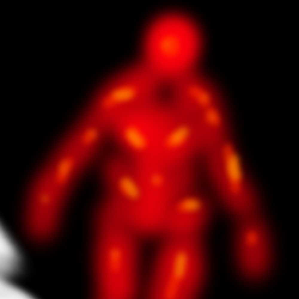 xonefiish⟡