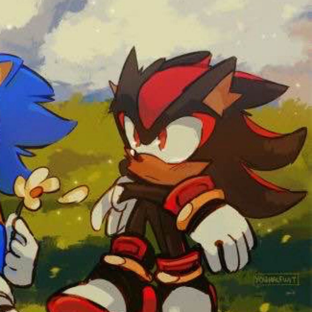 🗝️ㅤ୨  .  shadow the hedgehog