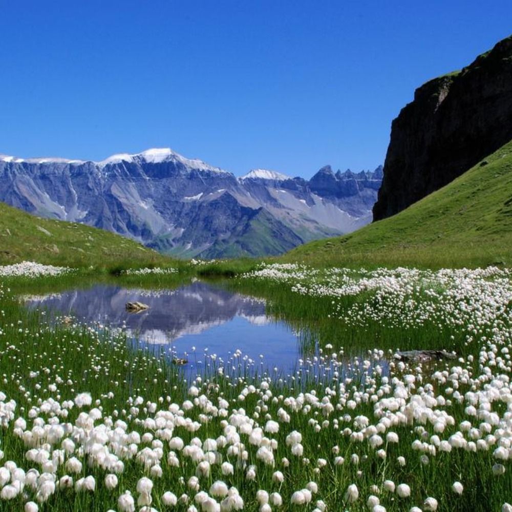 Piz da l'Acqua