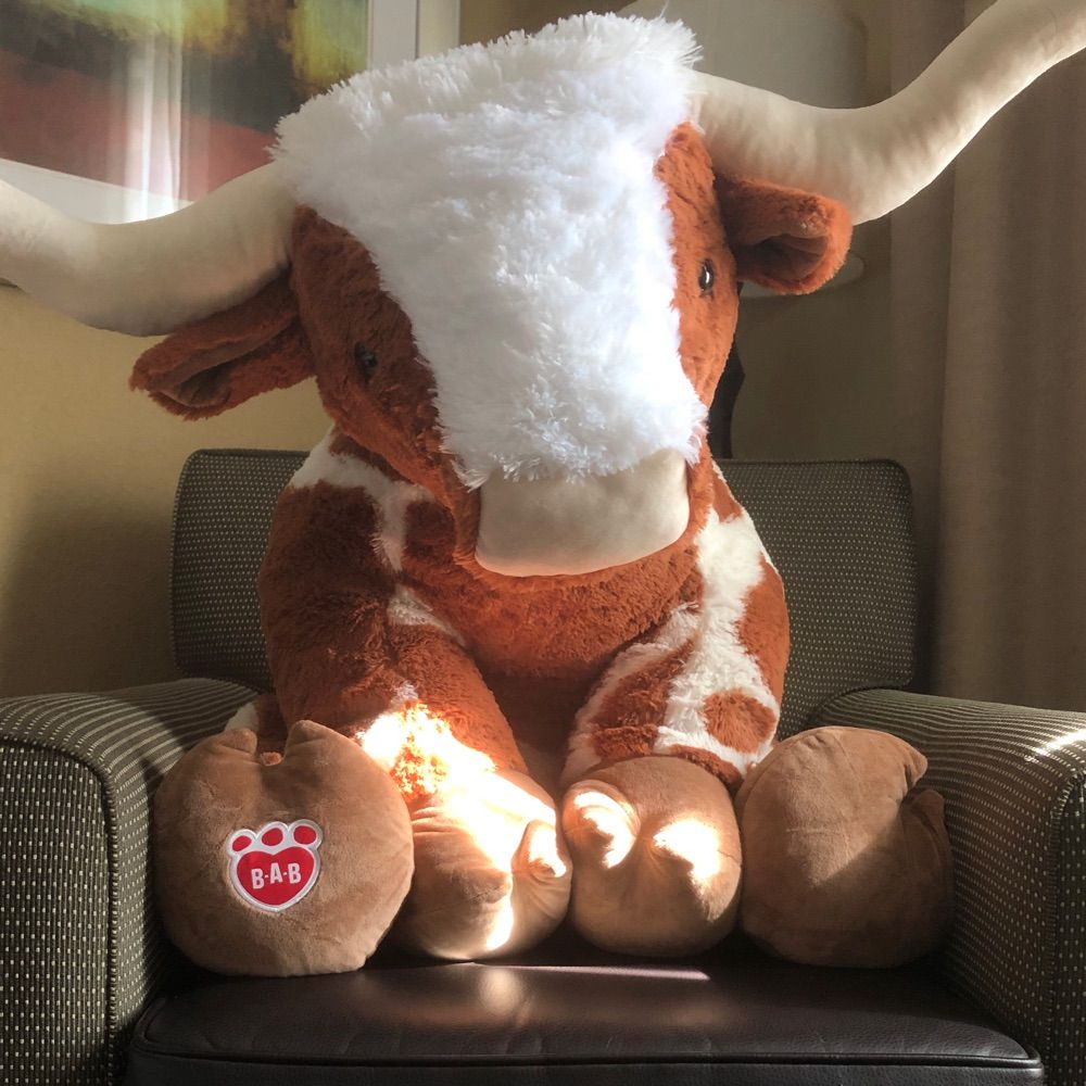 thickcowgal.bsky.social