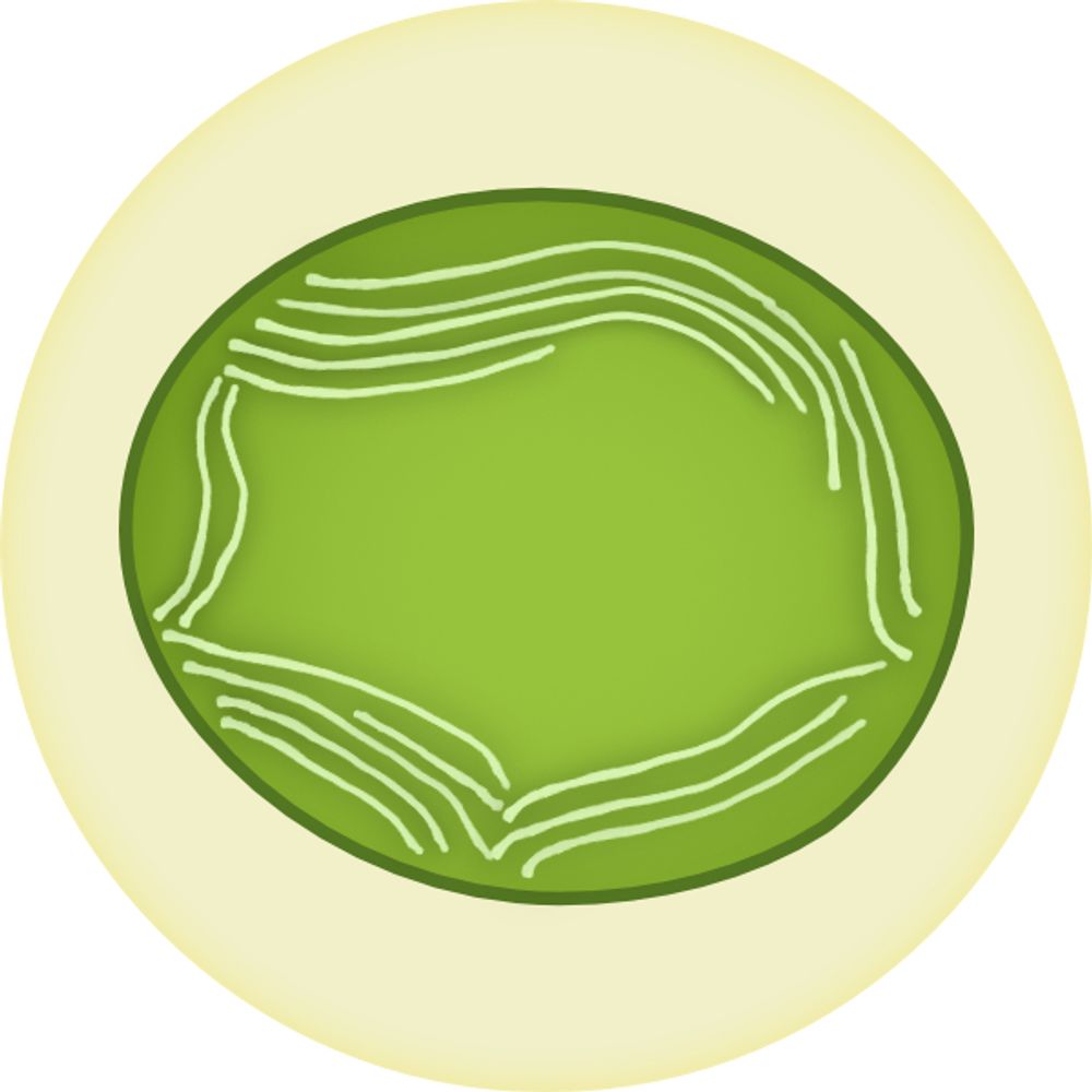 PhotoMicrobes (Allahverdiyeva Lab)
