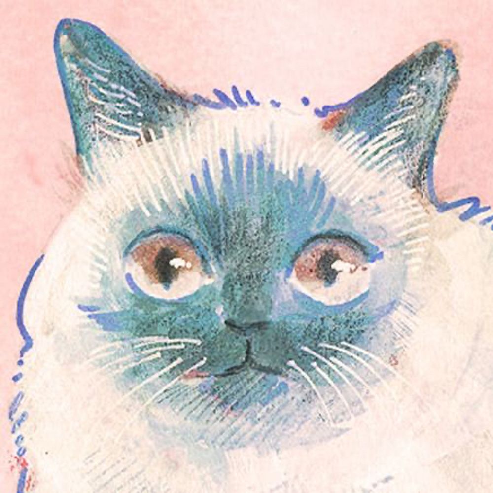 The Space Cat