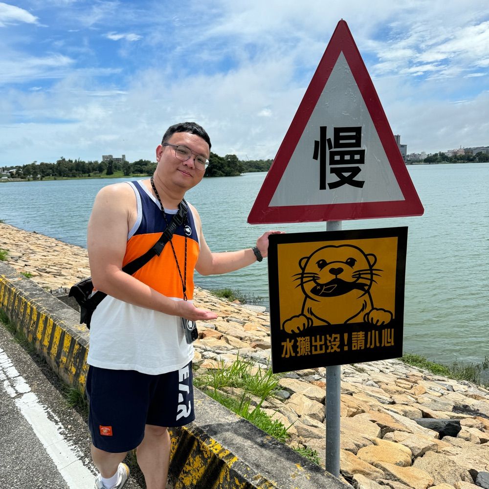 喵喵羊