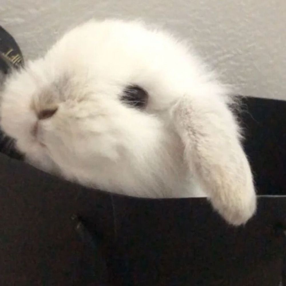 Khaos.
