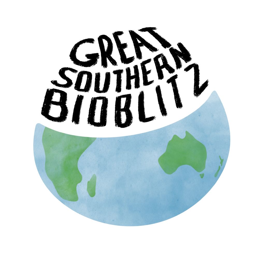 Great Southern Bioblitz