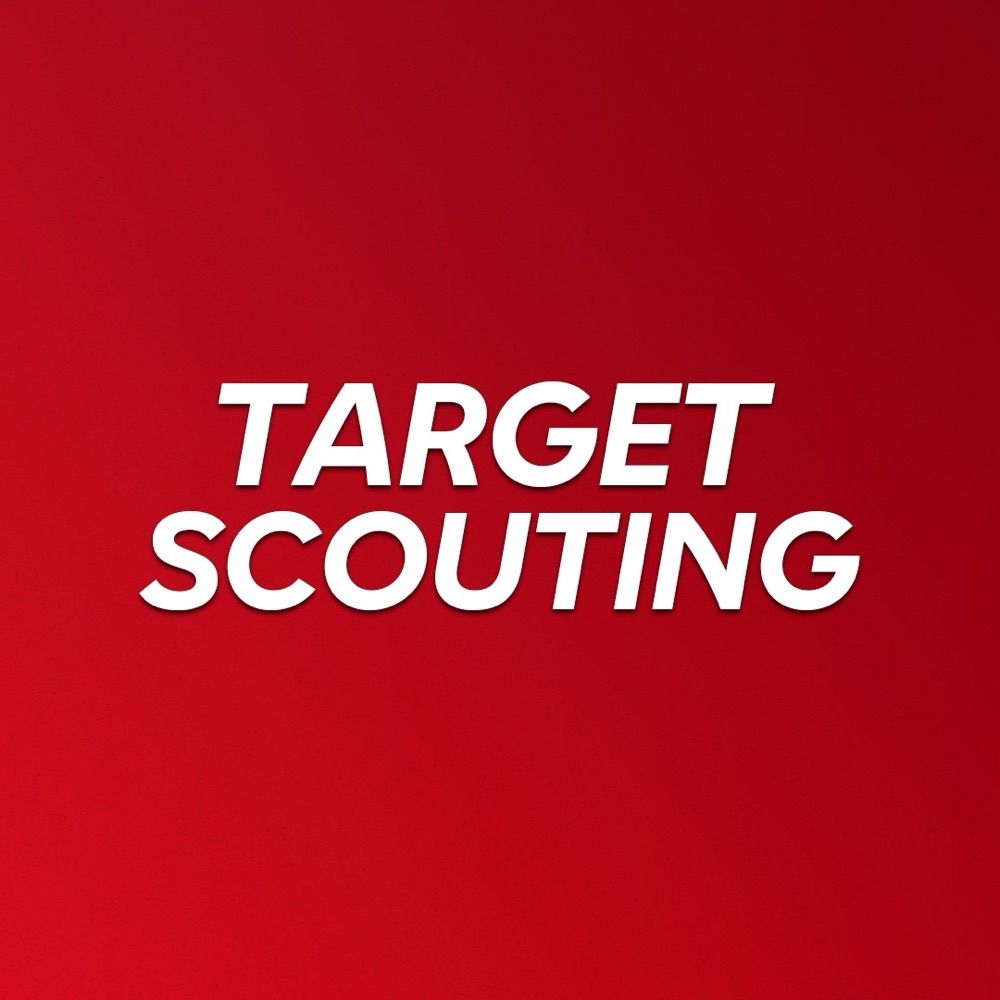 Target Scouting