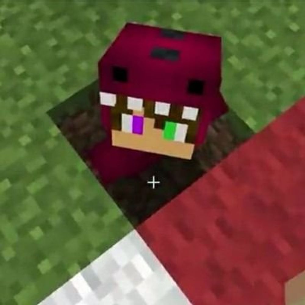Daky 🐈‍⬛