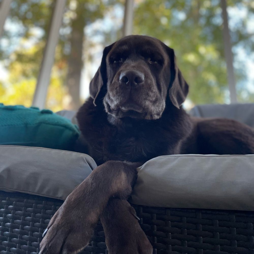 Jack