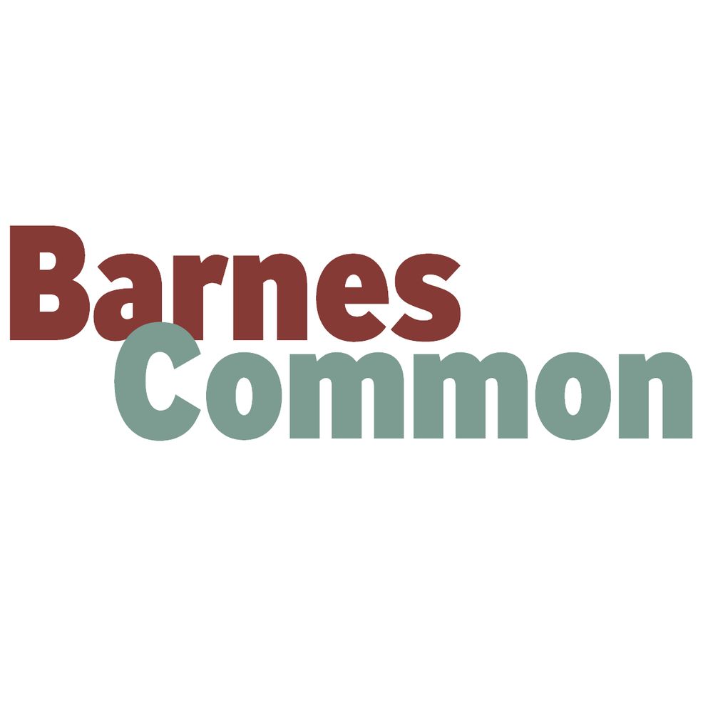 Barnes Common